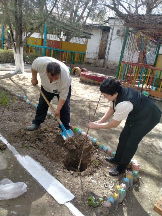 “МЕНІҢ ҚАЛАМ - МЕНІҢ АУЛАМ!» ТАҚЫРЫБЫНДА ТАЛ ЕГУ КҮНІ ҰЙЫМДАСТЫРЫЛДЫ