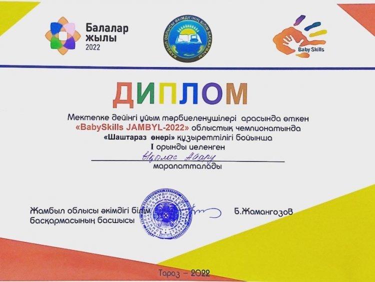 I ДӘРЕЖЕЛІ  ДИПЛОМ